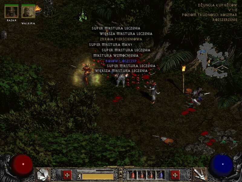 Diablo2(23)