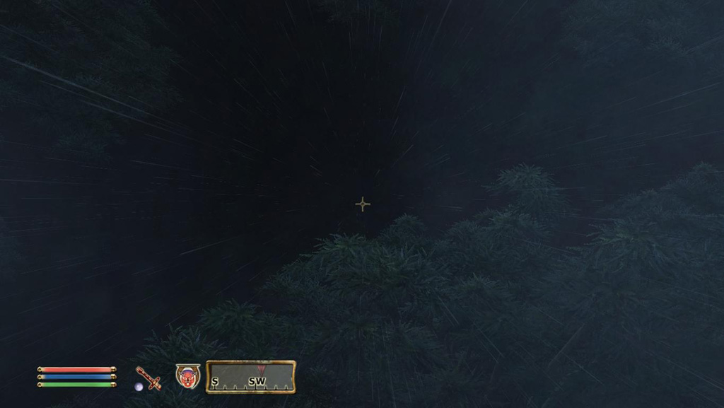 TES IV Oblivion (9)