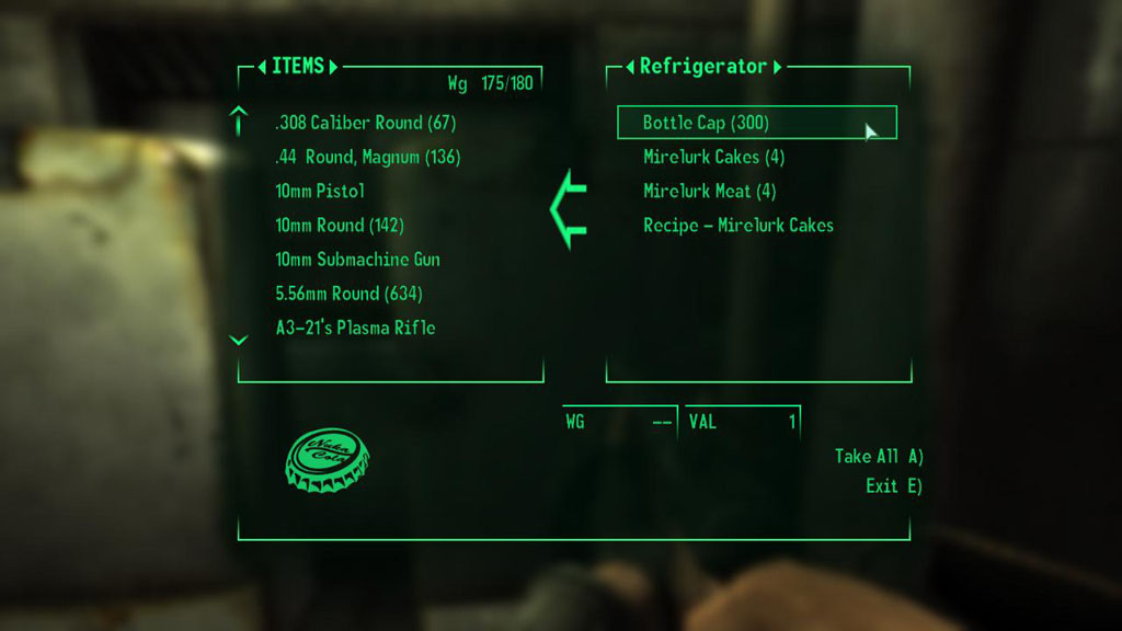 Fallout3 (23)