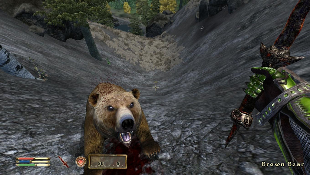 TES IV Oblivion (7)