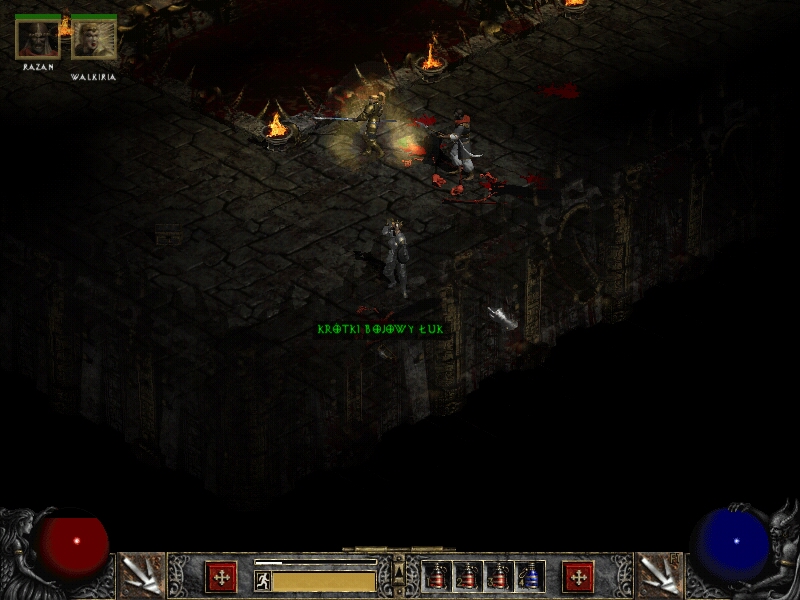 Diablo2(29)